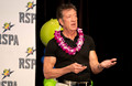 The Business of Wellness