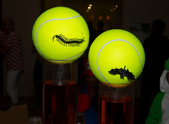 FM_YOUNG_SENIORS_BLOODY_BALL_D5_MIA2019_038