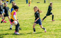 FM_NASHVILLE_SOCCER_2025_015