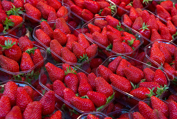 FM_FRENCH_AMBIANCE_2013_002